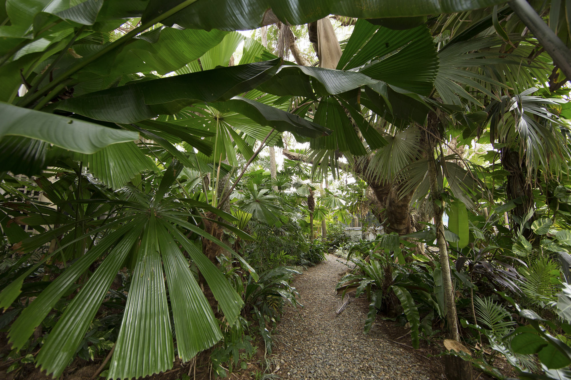 Castaways Resort & Spa On Mission Beach Exteriér fotografie